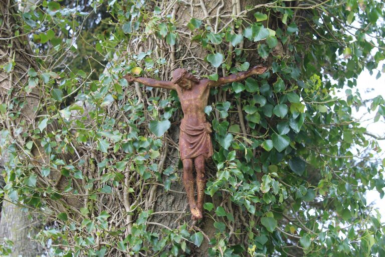 Crucifix en bois fixé à un arbre, entouré de lierre près de la chapelle Saint-Nicodème à Ploéven